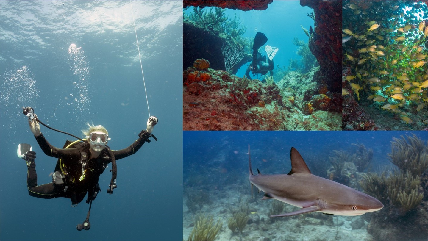 Scooba diving, St marteen