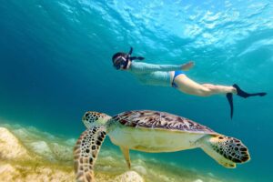 St Maarten Excursions Underwater SXM