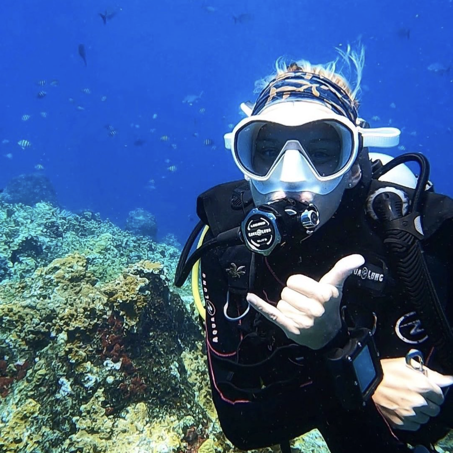 Dive Sint Maarten