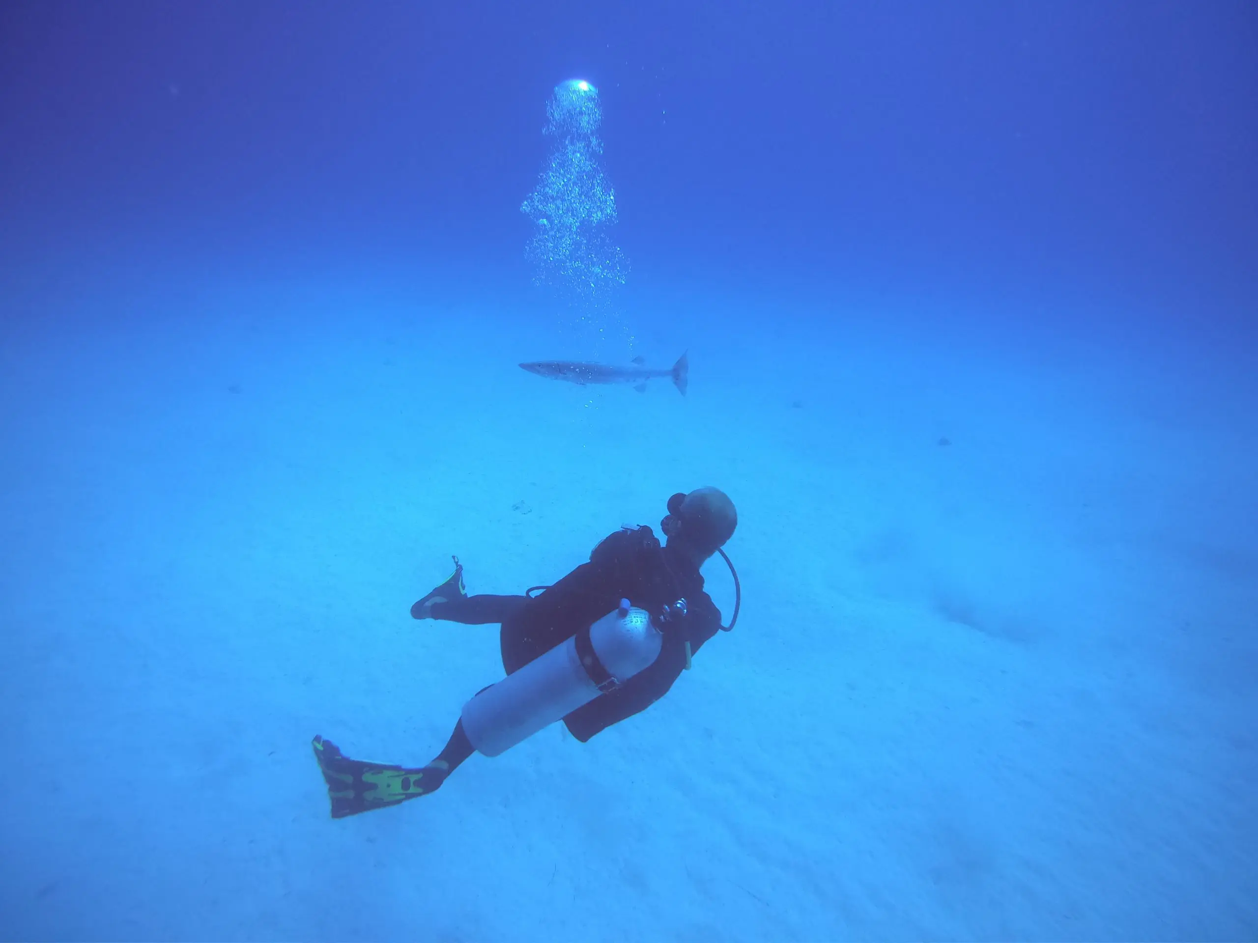 Bobby's Marina, Philipsburg, Sint Maarten, Dive Sint Maarten